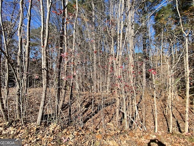 0 Black Oak Trail unit 10267626, Woodstock, GA 30189 - photo 6