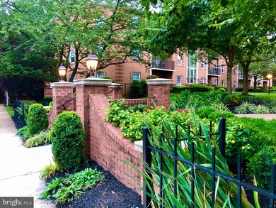 3330 Spring Ln unit D32, Baileys Crossroads, VA 22041 - photo 4