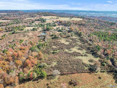 31 acres Beagle Rd, Sardis City, AL 35956 - photo 4