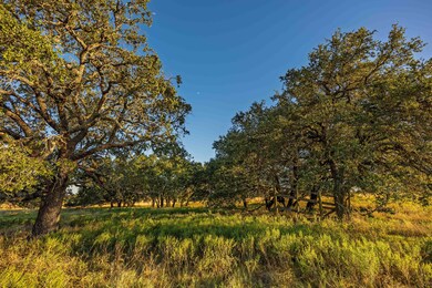 3270 Fm 573, Comanche, TX 76442 - photo 5