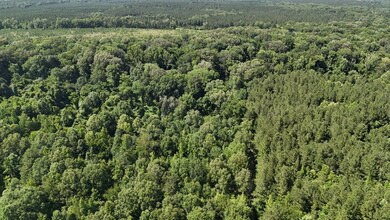 333 Yocum Rd unit LotWP002, Trout, LA 71371 - photo 7