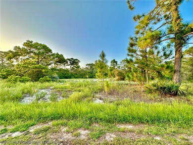 350 Jack Weisser Blvd, Lake Placid, FL 33852 - photo 4