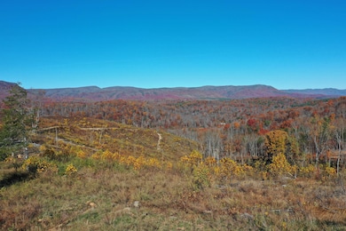 134 Ac. - S Buffalo Rd, Lexington, VA 24450 - photo 6