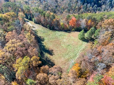 12970 Sr-56, Altamont, TN 37301 - photo 6