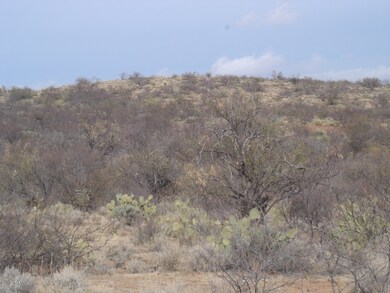 Rolling Foothills