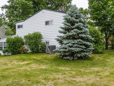021_Side Yard