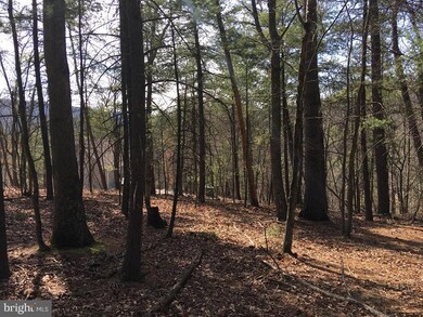 0 Nicklaus unit VASH116988, Basye, VA 22810 - photo 5