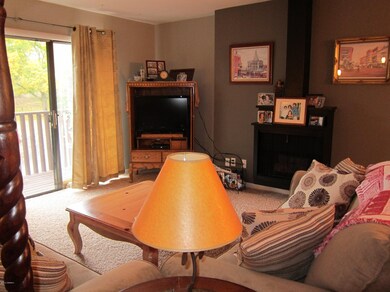 living rm with frplc, Meadows