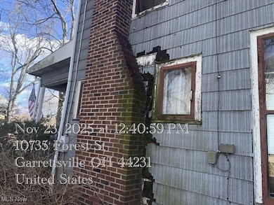 10729 Forest St, Garrettsville, OH 44231 - photo 6