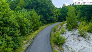 TBD-6 Big Laurel Rd, Creston, NC 28615 - photo 2