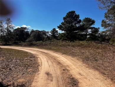 411 Laura Ln, Bastrop, TX 78602 - photo 3