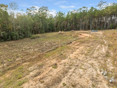 143 Luther Saucier Rd, Lumberton, MS 39455 - photo 4