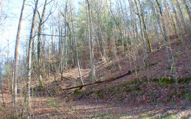 Additional View