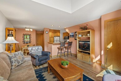 300 Mahoney Dr unit R27, Telluride, CO 81435 - photo 5