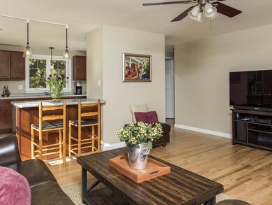 Living Room Open to Kitchen