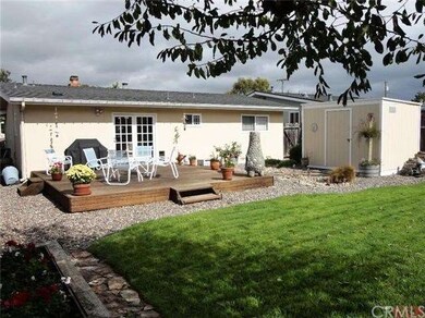 The sunny backyard!