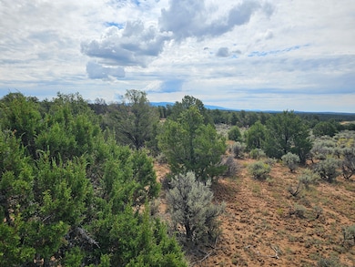 0 Lindrith Nm unit 1069027, Lindrith, NM 87029 - photo 4