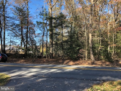 Lot 1 Peterkins Rd, Georgetown, DE 19947 - photo 3
