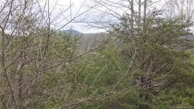 17 Chapel Hill Place unit 38, Leicester, NC 28748 - photo 6