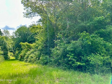 0 Harris Rd, McComb, MS 39648 - photo 5