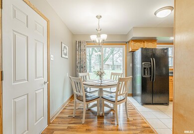 215 Southgate St, Lincoln, IL 62656 - photo 6