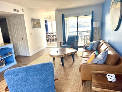 361 Anchors Point Ln unit 302, Kimberling City, MO 65686 - photo 4