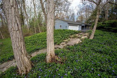 Acres of Myrtle