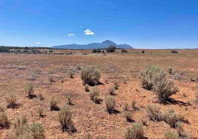 Tract 4 Road K 3, Cortez, CO 81321 - photo 5