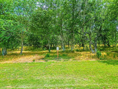 Lot 19 Grison Cir, Corsicana, TX 75109 - photo 2