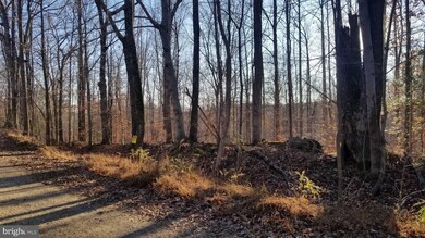 0 Parcel A Summitt Hill, Mechanicsville, MD 20659 - photo 5