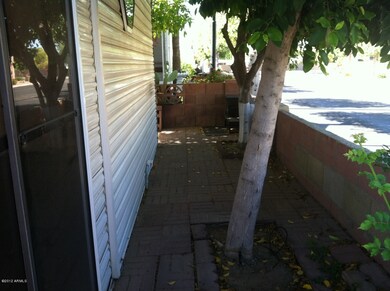 Back yard