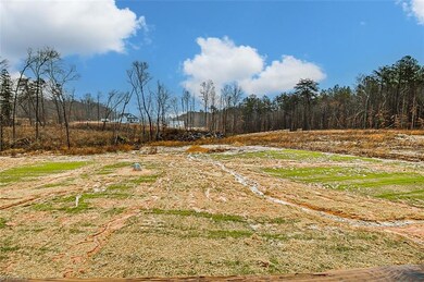 3655 Buffalo Ford Rd, Asheboro, NC 27205 - photo 6