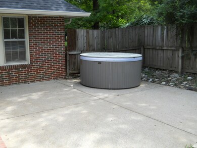 Patio and Hot tub