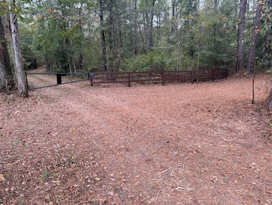 unlisted-address, Osyka, MS 39656 - photo 2