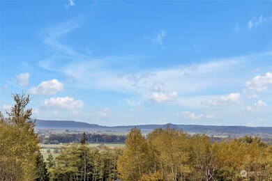 20608 Sinnes Rd, Mount Vernon, WA 98274 - photo 4