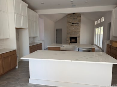 229 Raven Rd, Castroville, TX 78009 - photo 6