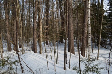 117/6 John Terrace, Ossipee, NH 03864 - photo 2