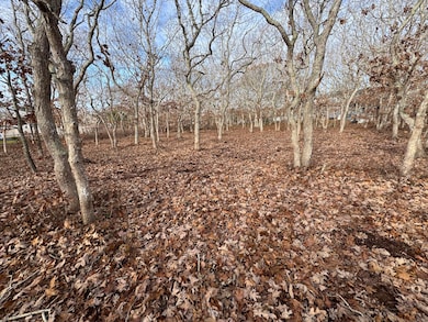 36 Boylston Dr, Edgartown, MA 02539 - photo 6