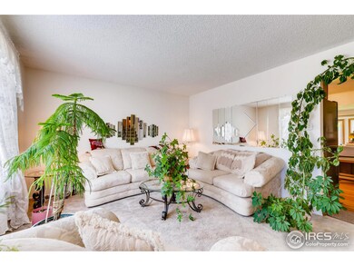 11815 Adams St, Thornton, CO 80233 - photo 5