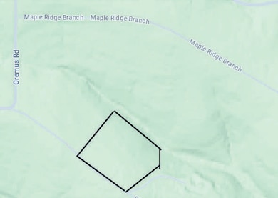 235 Shady Oaks Shore unit Lot 45, Forsyth, MO 65653 - photo 6