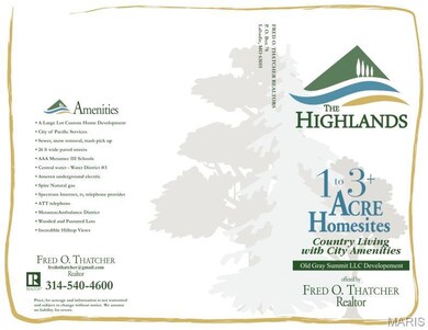 667 Highland St, Pacific, MO 63069 - photo 5