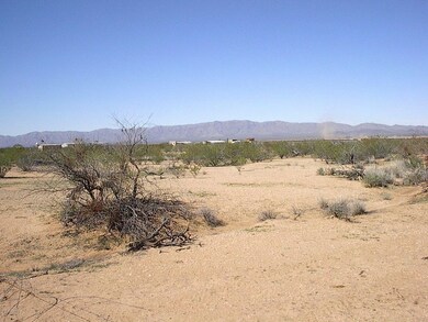 Lot 5