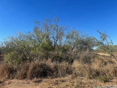 LOTS 2456-2458 Avenue J, Christine, TX 78012 - photo 2