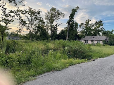 803 Bay St, Vidalia, GA 30474 - photo 3