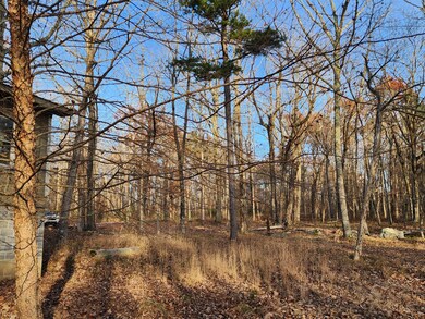 21766 Highway 157, Menlo, GA 30731 - photo 7