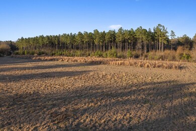750_Rifle_Range_Rd_Lot_4-4