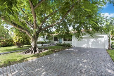 Spectacular Royal Poinciana Greets You