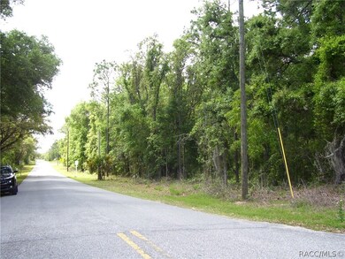 1990 E Norvell Bryant Hwy, Hernando, FL 34442 - photo 5