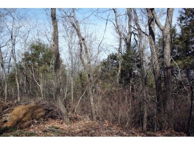 Lot 13 James View Rd, Ruth B Rural Township, MO 65686 - photo 2