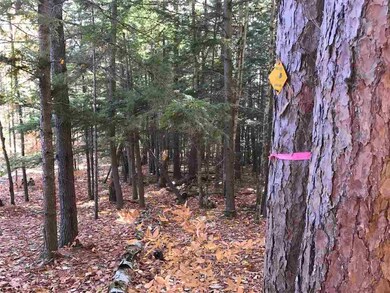 0 Timberline unit 4617964, Bartlett, NH 03812 - photo 6